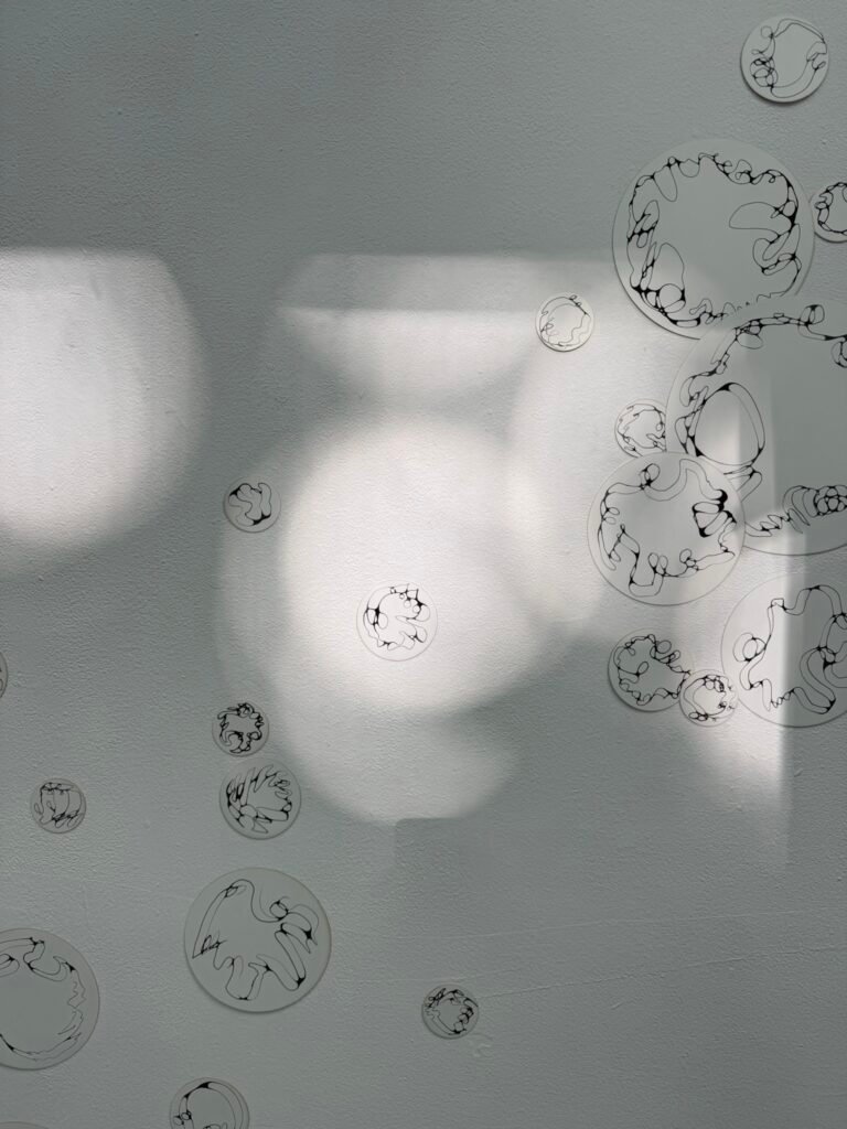 img 3430